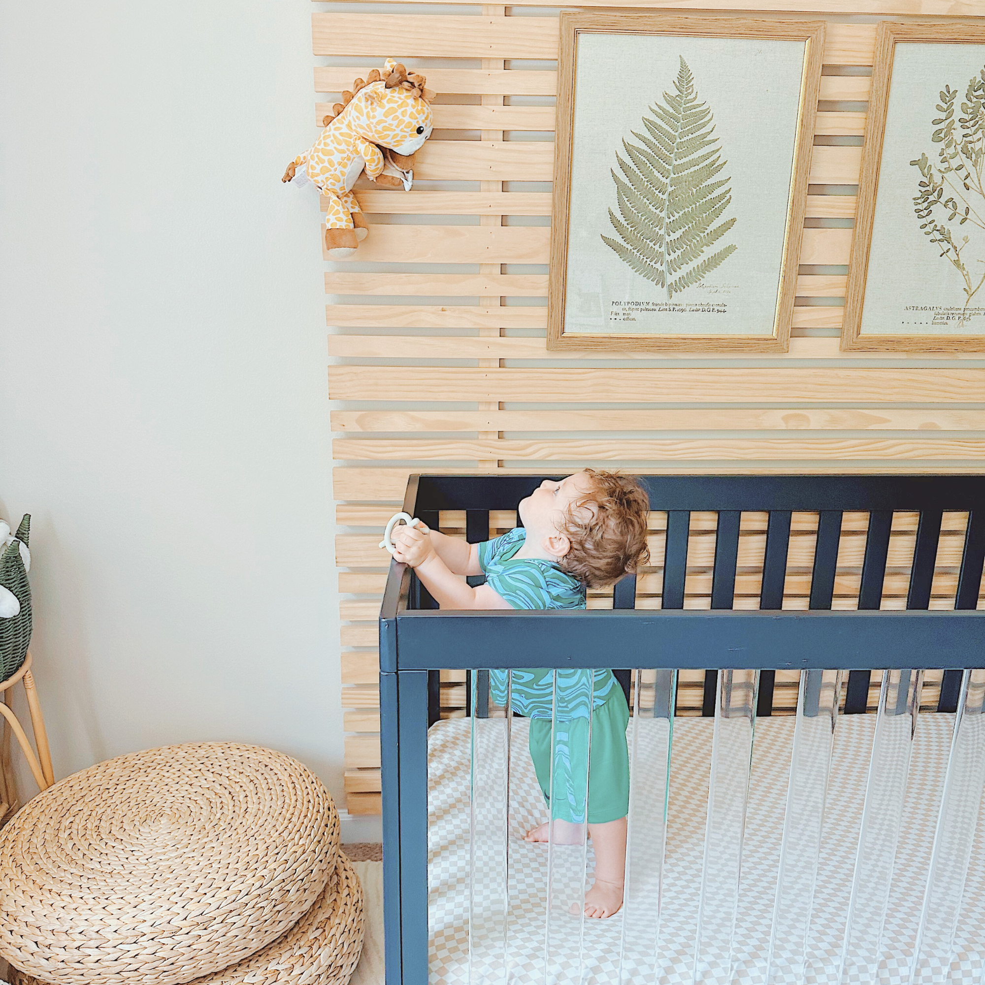 Jordan Giraffe Baby Monitor Smart Video Audio Safety Device